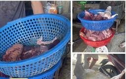 Ngang nhiên tiêu thụ lợn nhiễm bệnh