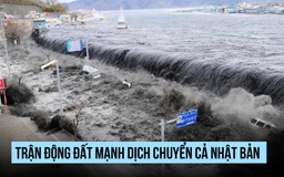 Nhật Bản bị dịch chuyển trong thảm họa động đất