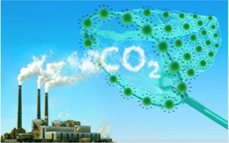 Chỉ 3 ngày nữa Việt Nam sẽ khai trương sàn giao dịch carbon