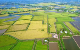 Cà Mau lập 13 phường: Hồng Dân với khát vọng vươn lên mạnh mẽ