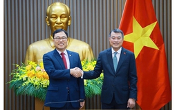 Việt Nam sẽ tạo mọi điều kiện thuận lợi cho các doanh nghiệp nước ngoài