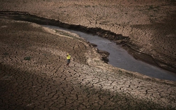 Thế giới trước nguy cơ hứng chịu đợt El Nino mạnh