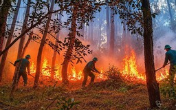 Huế: Công an tìm nhóm người cắm trại gây ra vụ cháy rừng ở núi Tam Thai