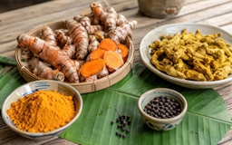 Nghệ tươi hay bột nghệ: Loại nào giúp cơ thể hấp thu curcumin tốt hơn?