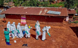 Nguy cơ tái diễn thảm họa Ebola