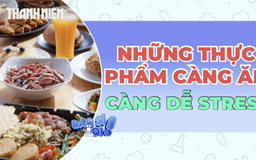 Những thực phẩm càng ăn càng dễ stress