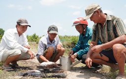 Cá chết hàng loạt: Người dân chưa chấp nhận mức hỗ trợ từ đơn vị thi công