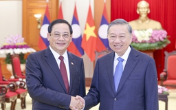Việt Nam luôn ủng hộ mạnh mẽ công cuộc đổi mới của Lào