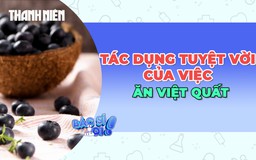 Điều tuyệt vời của việc ăn quả việt quất mỗi ngày