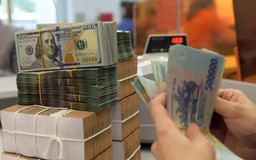 Thuế ra 'tối hậu thư' xử lý doanh nghiệp ngừng hoạt động nhưng chưa đóng mã số thuế