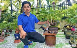 Bonsai dừa khô giá 2 triệu đồng của chàng trai miền Tây có gì đặc biệt?