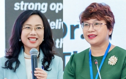 Không có 'đường tắt' trong quốc tế hóa và xếp hạng đại học