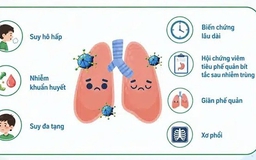 Cảnh báo nhiễm virus adeno ở các bể bơi công cộng