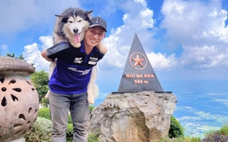 Chú chó Alaska 11 tuổi thích leo núi: 4 lần chinh phục đỉnh Bà Đen