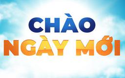 Bao giờ hết chó thả rông?