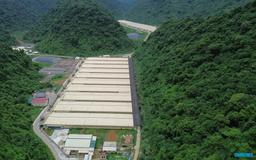 'Hội chứng búa tạ ở lò mổ' do ngộ độc cấp khí H2S