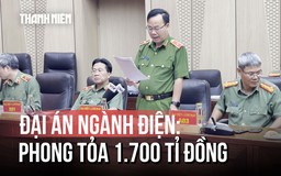Đại án ngành điện: Vì sao 13 công ty bị nhắc tên trong cùng một vụ án?