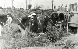 Giữ sáng Hà Nội bằng cả tuổi xuân
