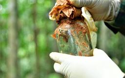 Quảng Trị: Phát hiện 5 hài cốt liệt sĩ cùng di vật khắc ký hiệu