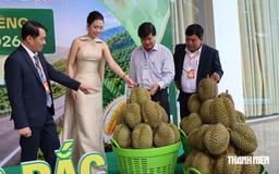 Đấu giá sầu riêng đầu tiên thu về gần 24 tỉ đồng cho nông dân