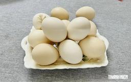 Nên ăn trứng như thế nào để bảo vệ sức khỏe tim mạch?