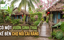 Cùng sống xanh số 159: Vườn sinh thái trọn vẹn trong không gian văn hóa bản địa