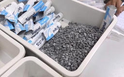 Xét xử trực tuyến ca sĩ Chi Dân, người mẫu An Tây, 'cô tiên' Trúc Phương