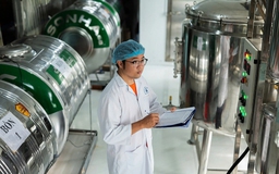 Người 'lên đời' cây dừa nước Việt Nam