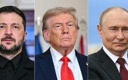 Ông Trump điện đàm với ông Putin và Zelensky về xung đột Nga - Ukraine