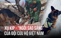 Được đeo huân chương ở Venezuela, 8 chú chó nghiệp vụ Việt Nam có gì đặc biệt?