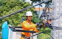 Ảnh dự thi: Vươn cao giữ sáng