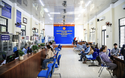 Viên chức quản lý phải tự nguyện từ chức nếu vợ chồng, con cái vi phạm pháp luật