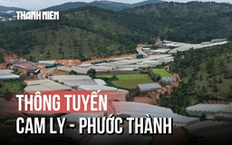 Cận cảnh tuyến đường Cam Ly - Phước Thành về đích sau khi gỡ nút thắt mặt bằng