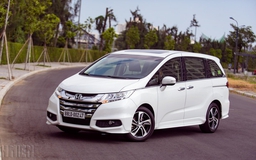 Chủ xe kiện Honda vì triệu hồi ô tô nhưng... không khắc phục lỗi