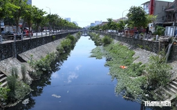 Nghệ An 'giải cứu' dòng kênh chết