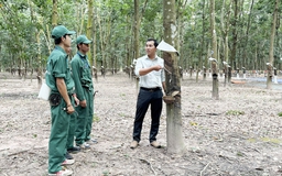 Những sáng kiến nảy mầm trên đất Kampong Thom