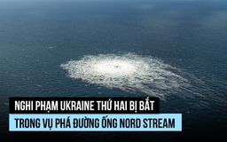 Thêm một người Ukraine bị bắt trong vụ đánh bom đường ống Nord Stream