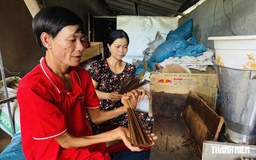 Vợ chồng khuyết tật và những buổi livestream làm nhang