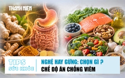Bản tin sức khỏe ngày 26.8: Nghệ hay gừng tốt cho tiêu hóa? | Thực phẩm giúp giảm viêm