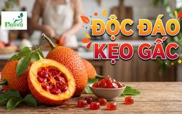 Cùng sống xanh 163: Muốn đưa dược liệu vào cuộc sống, dược sĩ ở Cần Thơ biến gấc thành kẹo