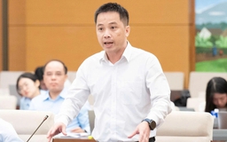 Đề xuất cho hộ kinh doanh có doanh thu dưới 10 tỉ nộp thuế trên doanh thu