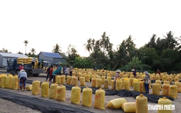 Tin tức đặc biệt trên báo in Thanh Niên 11.9.2026