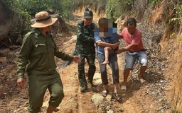 Chú chó suốt đêm theo 'bảo vệ' bé trai đi lạc trên núi ở Đắk Lắk
