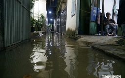 Triều cường trên sông Đồng Nai đến sớm bất thường