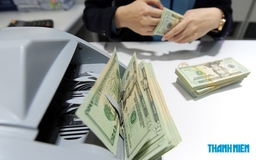 Giá USD hôm nay 14.9.2026: Không thay đổi trong khi yen Nhật bật tăng
