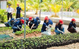 Đất liền gửi triệu mầm xanh ra Trường Sa