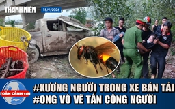Toàn cảnh 17h: Phát hiện xương người trong xe bán tải dưới sông | Ong vò vẽ tấn công khi đi hái nấm