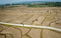 Siêu El Nino và phép thử ứng phó toàn cầu
