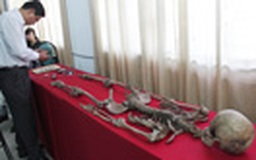 Công bố kết quả khai quật ngôi mộ cổ tại Đồng Nai