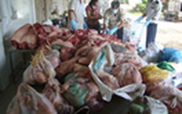 Tiêu hủy hơn 1,6 tấn thịt không rõ nguồn gốc